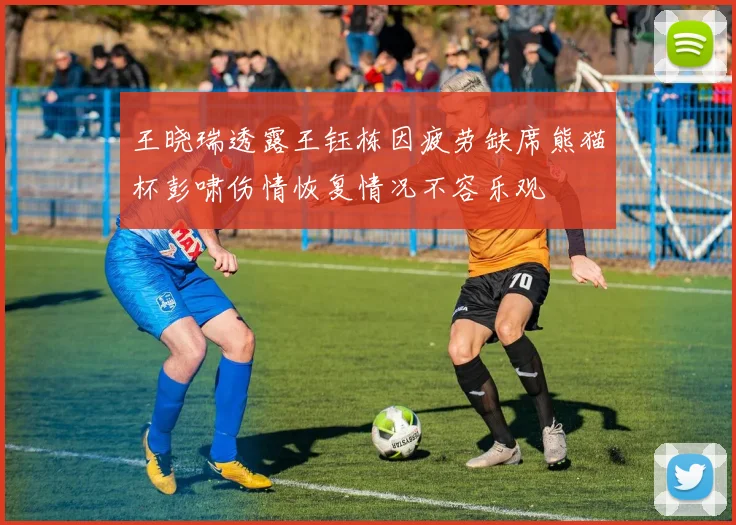 王晓瑞透露王钰栋因疲劳缺席熊猫杯彭啸伤情恢复情况不容乐观